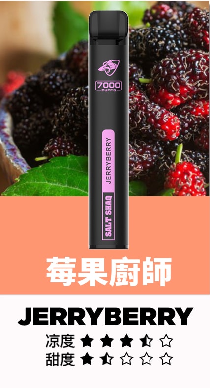 SALT SHAQ 鯊克7000口拋棄式煙桿｜持久續航・經典口感 小黑條