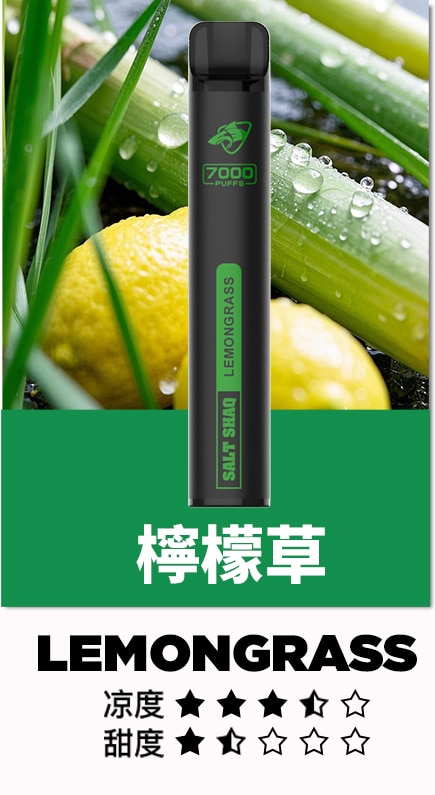 SALT SHAQ 鯊克7000口拋棄式煙桿｜持久續航・經典口感 小黑條